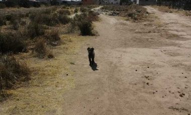 GRAN OPORTUNIDAD, TERRENO EN VENTA