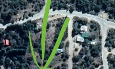 Casa Con Plano Aprobado Para Desarrollo De 8 Cabañas, Villa Pehuenia Neuquén