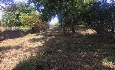 VENDO LOTE DE 1827M2 EN ALTO BOQUETE