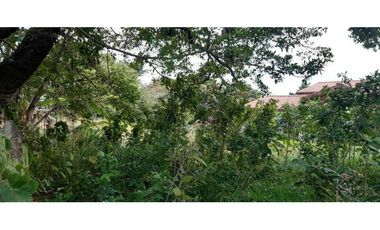 VENDO LOTE DE 1827M2 EN ALTO BOQUETE