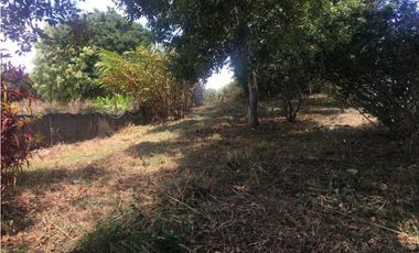 VENDO LOTE DE 1827M2 EN ALTO BOQUETE