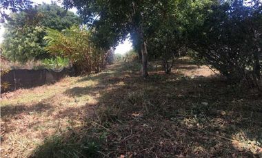 VENDO LOTE DE 1827M2 EN ALTO BOQUETE