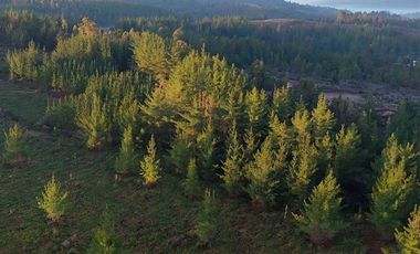Parcela en venta en Pichilemu