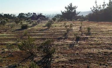 Parcela en venta en Pichilemu