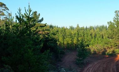 Parcela en venta en Pichilemu