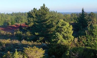 Parcela en venta en Pichilemu