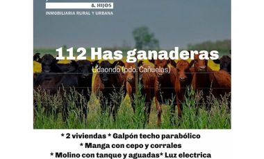 Campo en venta en Gobernador Udaondo, Cañuelas. 112 Has ganadero