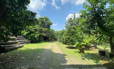 Disewakan Tanah Sangat Luas Pinggir Jalan Raya Hasyim Ashari Luas 5000 20000 M2