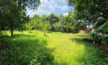 Disewakan Tanah Sangat Luas Pinggir Jalan Raya Hasyim Ashari Luas 5000 20000 M2