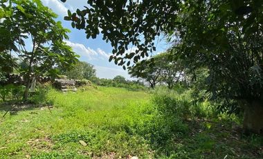 Disewakan Tanah Sangat Luas Pinggir Jalan Raya Hasyim Ashari Luas 5000 20000 M2