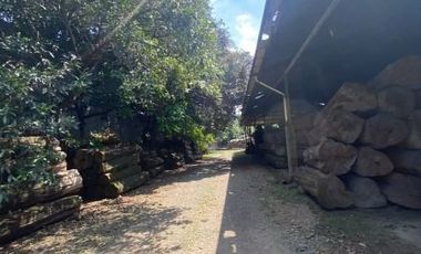 Disewakan Tanah Sangat Luas Pinggir Jalan Raya Hasyim Ashari Luas 5000 20000 M2