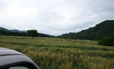 2.800 ha