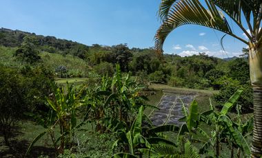 casa campestre en venta en la vega. Cod V1088054