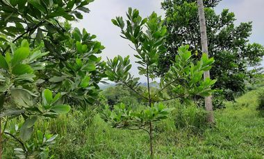Dijual TANAH HOT HARGA NJOP murah BANGET view pegunungan kota Bandung LT 3397m² muka 30meter | jarak 2.5km ke jalan Raya