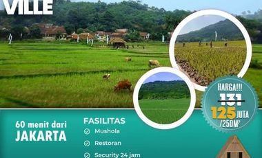 Investasi Tanah Sawah Produktif sambil Wisata di Jonggol Bogor