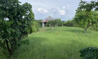 casa condominio en arriendo/venta en pachaquiaro. Cod V1080042