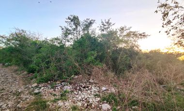 Terreno en venta 1 hectárea en Chichi Suarez al Norte-Oriente de Mérida Yucatan