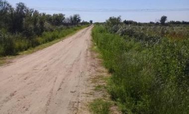 VENDO!! CAMPO EN ISLA DEL IBICUY