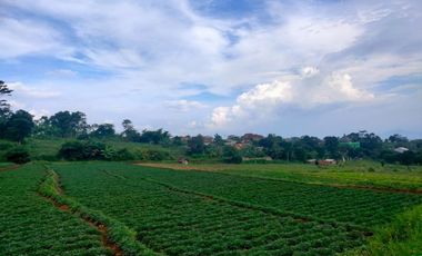 Tanah di Ciwaru Cibiru Bandung Masuk Kodya