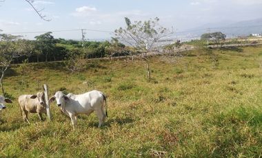 VENTA DE LOTE RUITOQUE ALTO