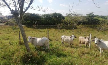 VENTA DE LOTE RUITOQUE ALTO