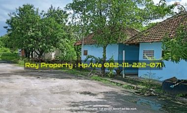 Disewakan Tanah Marunda 2,5 Ha Cilincing Jakut Siap Pakai