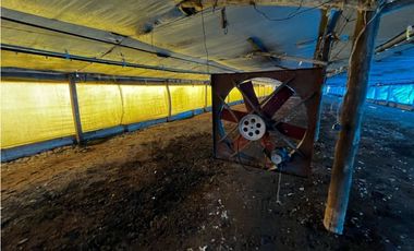 Vendo Campo de 3,5 Has con granja en Pronunciamiento, Entre Ríos.