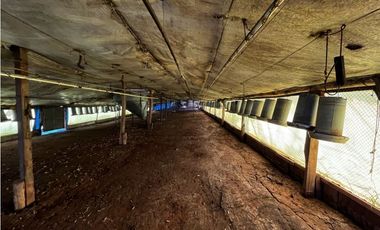 Vendo Campo de 3,5 Has con granja en Pronunciamiento, Entre Ríos.