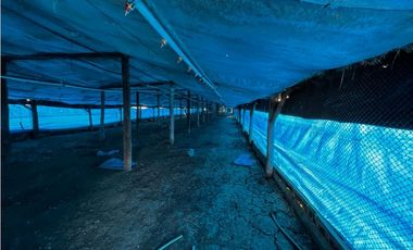 Vendo Campo de 3,5 Has con granja en Pronunciamiento, Entre Ríos.