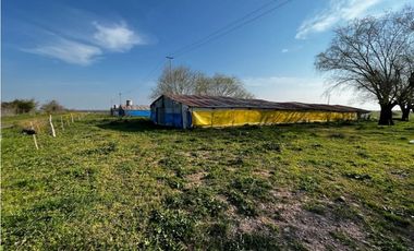 Vendo Campo de 3,5 Has con granja en Pronunciamiento, Entre Ríos.