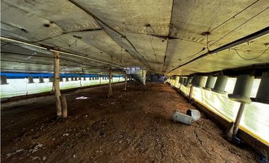 Vendo Campo de 3,5 Has con granja en Pronunciamiento, Entre Ríos.