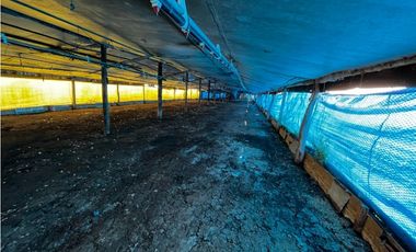 Vendo Campo de 3,5 Has con granja en Pronunciamiento, Entre Ríos.