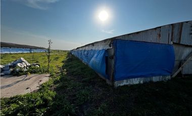 Vendo Campo de 3,5 Has con granja en Pronunciamiento, Entre Ríos.
