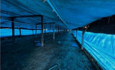 Vendo Campo de 3,5 Has con granja en Pronunciamiento, Entre Ríos.