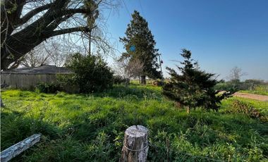 Vendo Campo de 3,5 Has con granja en Pronunciamiento, Entre Ríos.