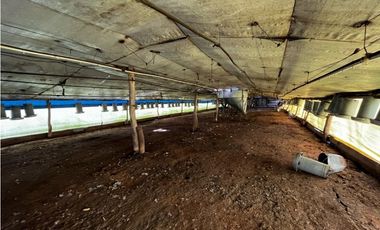 Vendo Campo de 3,5 Has con granja en Pronunciamiento, Entre Ríos.