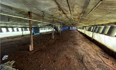 Vendo Campo de 3,5 Has con granja en Pronunciamiento, Entre Ríos.