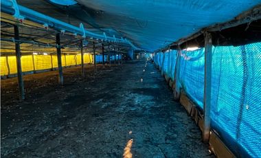 Vendo Campo de 3,5 Has con granja en Pronunciamiento, Entre Ríos.