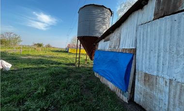 Vendo Campo de 3,5 Has con granja en Pronunciamiento, Entre Ríos.