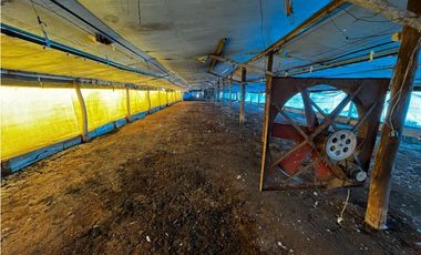 Vendo Campo de 3,5 Has con granja en Pronunciamiento, Entre Ríos.