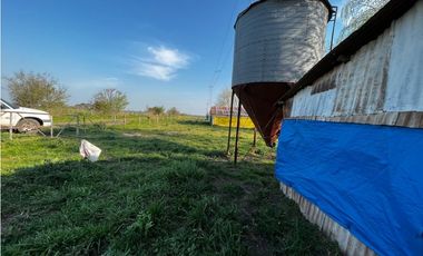 Vendo Campo de 3,5 Has con granja en Pronunciamiento, Entre Ríos.