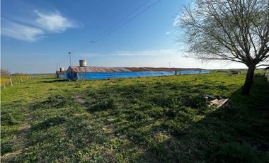 Vendo Campo de 3,5 Has con granja en Pronunciamiento, Entre Ríos.