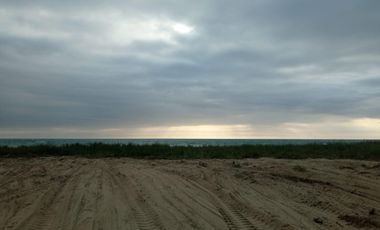 Frente al Mar