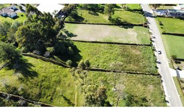 Se vende lote en reserva silvestre en La Ceja, sector Yarumo