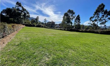 Se vende lote en reserva silvestre en La Ceja, sector Yarumo