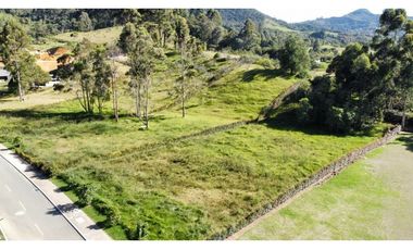 Se vende lote en reserva silvestre en La Ceja, sector Yarumo