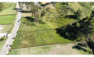 Se vende lote en reserva silvestre en La Ceja, sector Yarumo