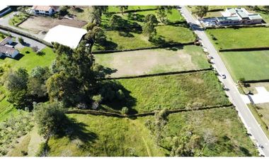 Se vende lote en reserva silvestre en La Ceja, sector Yarumo