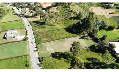 Se vende lote en reserva silvestre en La Ceja, sector Yarumo