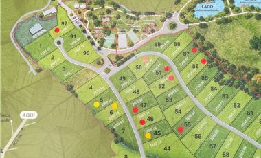 Se vende lote en reserva silvestre en La Ceja, sector Yarumo